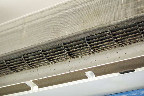 Best Residential Air Duct Cleaning  in Lyons, IL